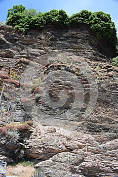 limestone cliffs at the Mittelmosel