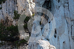 Limestone cliffs near Cassis, boat excursion to Calanques national park in Provence, France