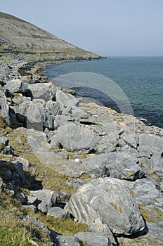 Limestone coast and headland