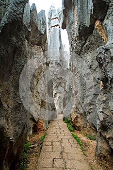 Limestone corridor at Kunming Shilin