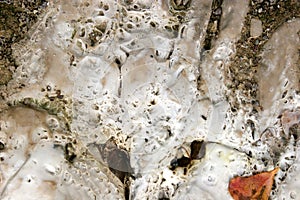 Limestone Deposits photo