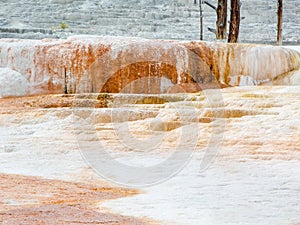 Limestone Deposits at Yellowstone