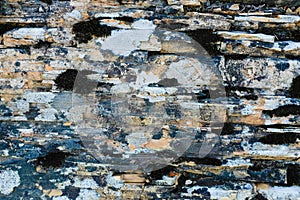 Limestone and dolostone texture