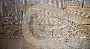 limestone Egyptian relief of human figures fishing a bucket and with below detailed wildlife animals