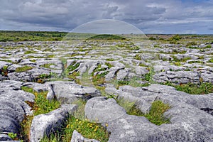 Limestone Field in the Burren, Ireland