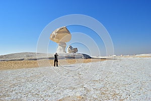 The limestone formation in White desert Sahara Egypt