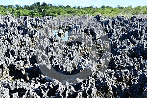 Limestone formations in the town of Hell on Grand Cayman in the Cayman Islands