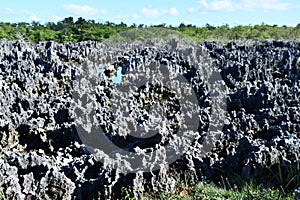 Limestone formations in the town of Hell on Grand Cayman in the Cayman Islands