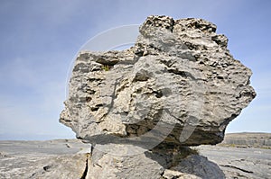 Limestone Glacial Erratic