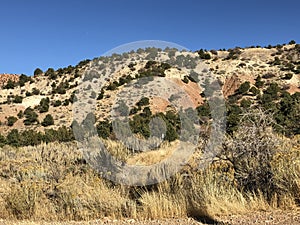 Limestone limestone hills with pine tress, brush under brilliant blue skies. Cedar City, Southern Utah