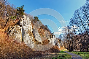 Limestone Mnikowska Valley in Jura Krakowsko-Czestochowska