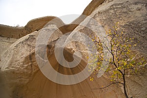 Limestone mountains