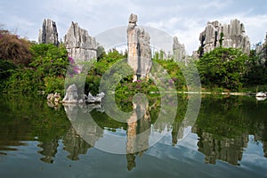 Limestone named A-Shi-Ma at Kunming Shilin photo
