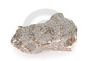 Limestone with nummulites