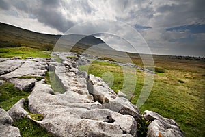 Limestone Pavement