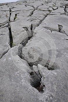 Limestone Pavement Grykes
