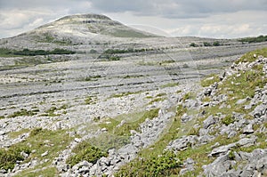 Limestone pavement mountains, Mullaghmore