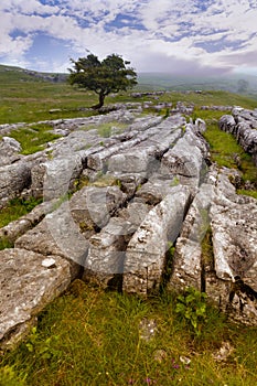 Limestone pavement near Settle, Yorkshire Dales