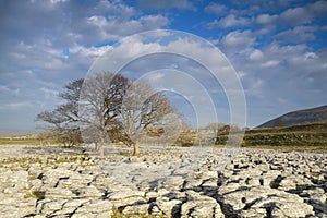 Limestone Pavement in the yorkshire dales