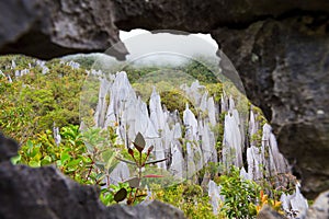 Limestone pinnacles at gunung mulu national park