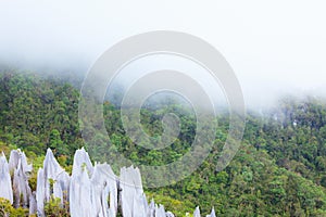 Limestone pinnacles at gunung mulu national park