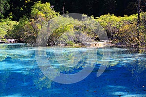 Limestone Pools