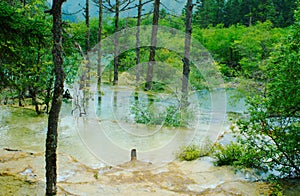 Limestone pools in Huanglong