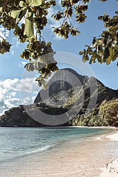 Limestone rock on a beautiful tropical Paradise beach hidden behind trees in El Nido Palawan Island the Philippines