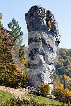 Limestone rock Bludgeon of Hercules in Pieskowa Skala, Poland