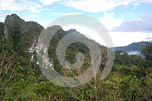 Limestone rock formation with trees in Puerto Princesa, Palawan, Philippines