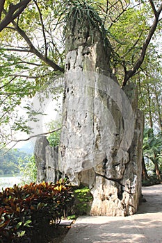 Limestone rock in the Seven Star Crags National Park, Zhaoqing, China photo