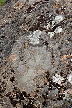 Limestone rock from a stone quarry in Vogtland region of Saxony, Germany