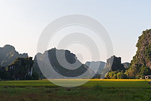 Limestone rocks behind rice terraces and fields full of flowers in Tam Coc, Ninh Binh, Northern Vietnam. Shot at Sunset