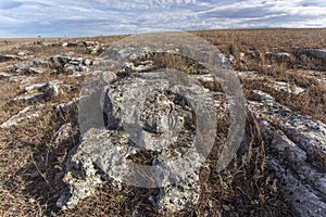 Limestone rocks on Kansas hillside