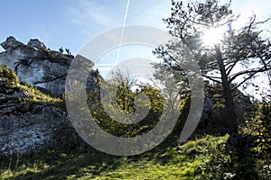 Limestone rocks in nature reserve mountain Zborow in Jura Krakowsko-Czestochowska