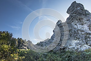 Limestone rocks in nature reserve mountain Zborow in Jura Krakowsko-Czestochowska