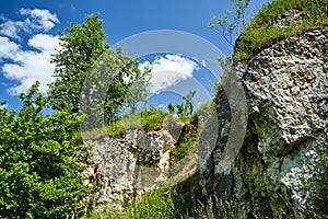 Limestone rocks of an old quarry overgrown with trees and bushes