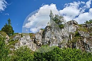 Limestone rocks of an old quarry overgrown with trees and bushes