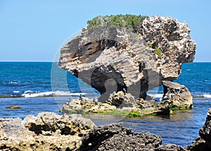 Limestone Rocks with Pied Cormorants: Indian Ocean, Western Australia