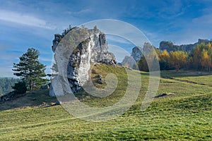 Limestone rocks in Polish Jura near Mirow castle.