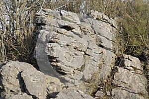 Limestone Rocks, Ubley Warren