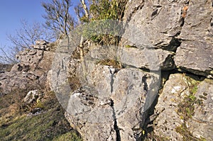 Limestone Rocks, Ubley Warren