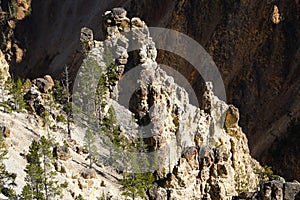 Limestone Spires in Yellowstone`s Grand Canyon