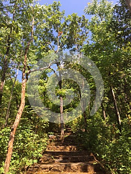 Limestone Stairs Surrounded by Green Trees