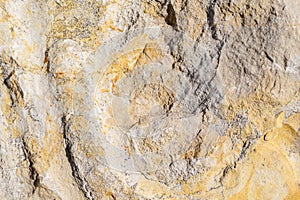 Limestone texture usable as texture or background