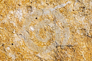 Limestone texture usable as texture or background