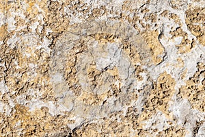 Limestone texture usable as texture or background