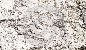 Limestone texture usable as texture or background