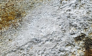 Limestone texture usable as texture or background