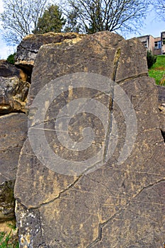 Limestone in turbiditic facies. Eocene, Lutecian. 4 Mya